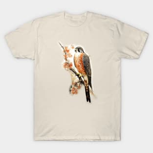 Peregrine Falcon - Raptor T-Shirt